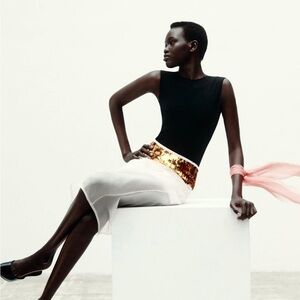 ZARA WOMAN NWT SS24 SEQUINNED ORGANZA SKIRT LIMITED EDITION WHITE 2478/871 SALE